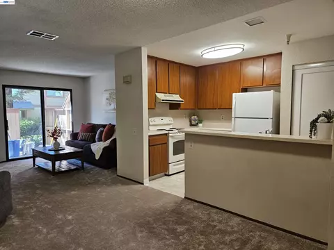 Living - 247 E Warren Cmn, Fremont, CA 94539 photo 1 of 8