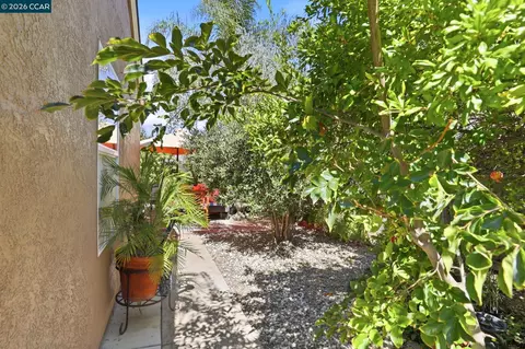 Exterior - 25 Sparrow Hawk Ct, Oakley, CA 94561 photo 6 of 8