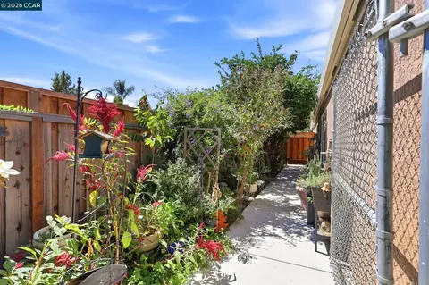 Exterior - 25 Sparrow Hawk Ct, Oakley, CA 94561 photo 5 of 8