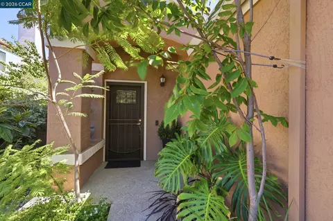 Other - 25 Sparrow Hawk Ct, Oakley, CA 94561 photo 2 of 9