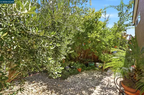 Exterior - 25 Sparrow Hawk Ct, Oakley, CA 94561 photo 7 of 8