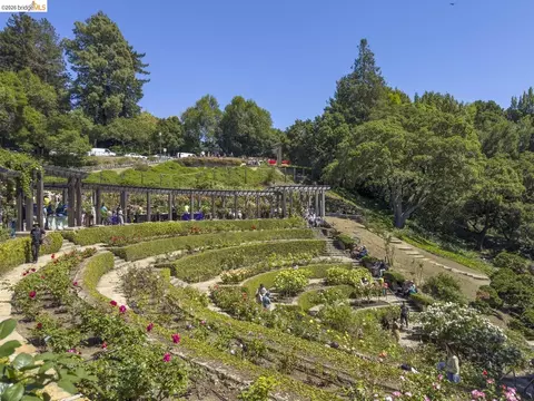 Other - 955 Shattuck Ave, Berkeley, CA 94707 photo 17 of 17