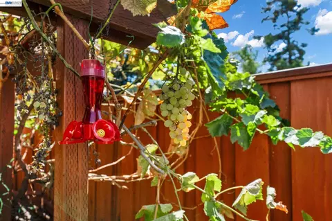 Other - 1275 Nice Ct, Livermore, CA 94551 photo 12 of 12