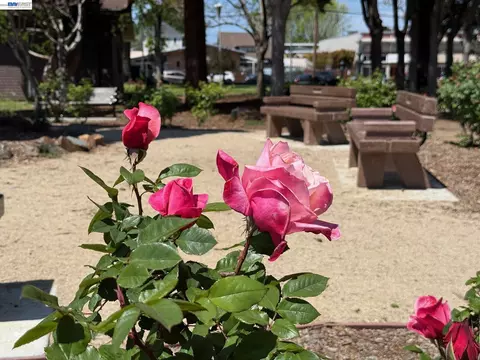 Other - 3287 Briggs Ave, Alameda, CA 94501 photo 18 of 19