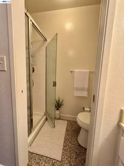 Bath - 38 Kelloch Ave, San Francisco, CA 94134 photo 3 of 4