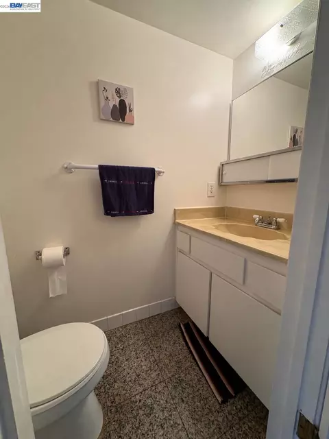 Bath - 38 Kelloch Ave, San Francisco, CA 94134 photo 4 of 4