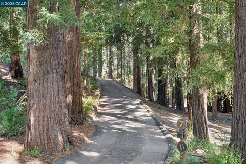 Other - 11 Redwood Cir, Lafayette, CA 94549 photo 1 of 6
