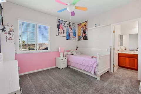 Other - 1434 Olivia Ct, Tracy, CA 95377 photo 13 of 18