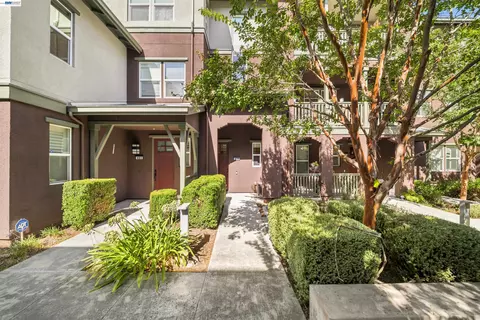 Exterior - 479 Diller St, Alameda, CA 94501 photo 8 of 8