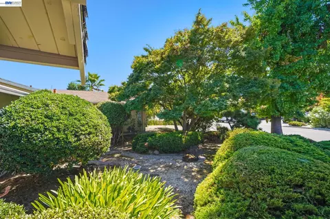 Exterior - 38660 Moore Dr, Fremont, CA 94536 photo 6 of 7