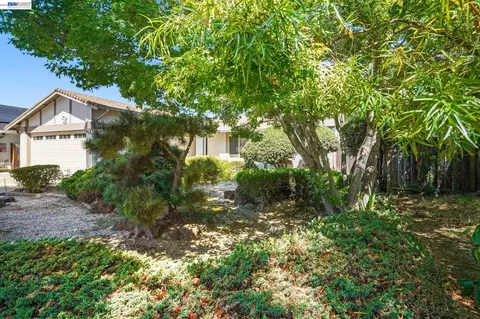 Exterior - 38660 Moore Dr, Fremont, CA 94536 photo 7 of 7