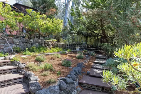 Exterior - 2711 Buena Vista Way, Berkeley, CA 94708 photo 10 of 18