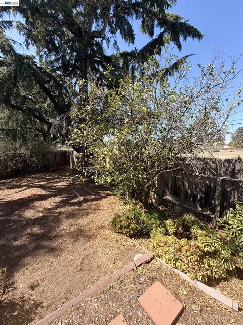 Exterior - 312 Robert Way, Livermore, CA 94550 photo 5 of 6