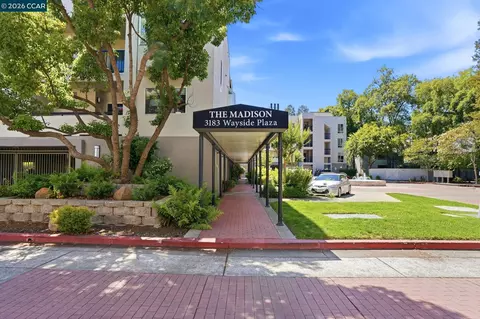 3183 Wayside Plz #217, Walnut Creek, CA 94597