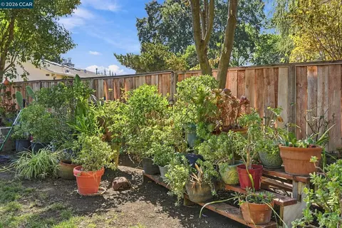 Exterior - 1211 Orange St, Concord, CA 94518 photo 10 of 13