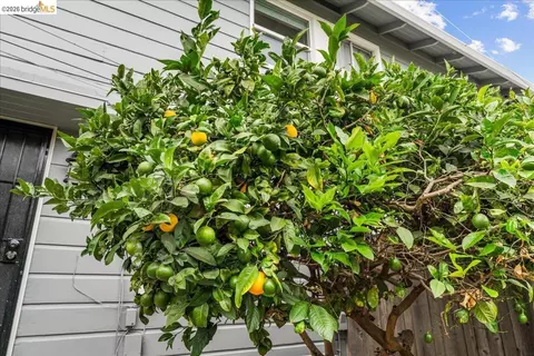 Exterior - 1802 Second #M, Alameda, CA 94501 photo 4 of 4