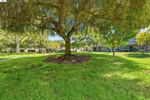 Exterior - 3349 Solomon Ln, Alameda, CA 94502 photo 6 of 7