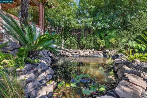 Exterior - 3402 Hall Ln, Lafayette, CA 94549 photo 5 of 13