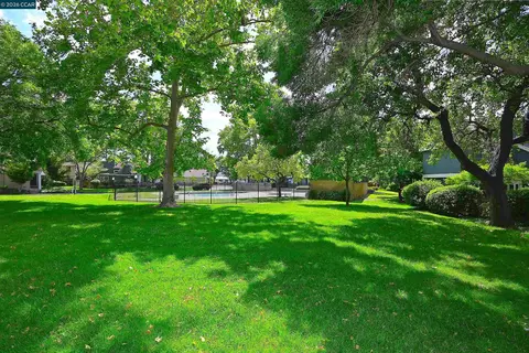 Exterior - 4203 Dubhe Ct, Concord, CA 94521 photo 14 of 16