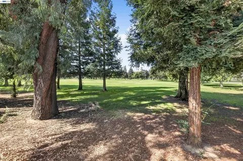 Exterior - 439 W Golf Cir, Manteca, CA 95337 photo 12 of 12