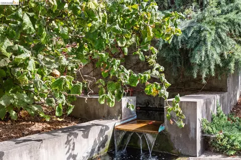 Exterior - 1705 La Loma Ave, Berkeley, CA 94709 photo 13 of 24