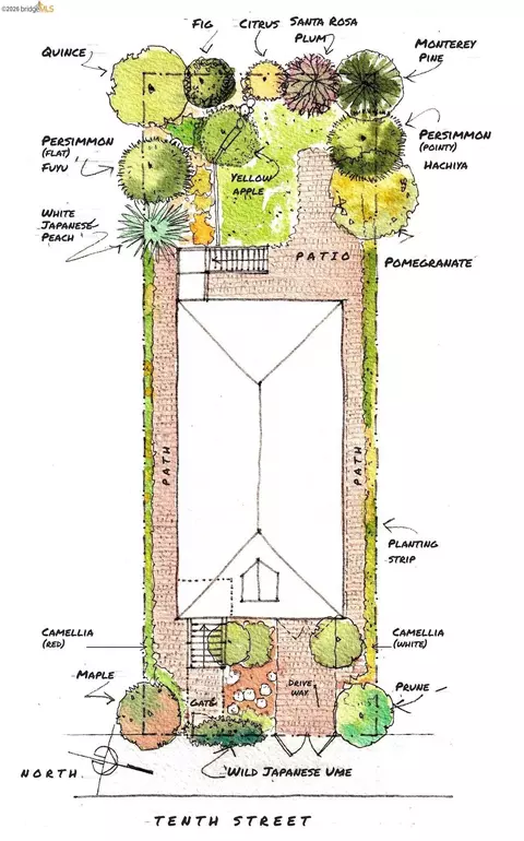 Floorplan - 2204 Tenth St, Berkeley, CA 94710 photo 2 of 2