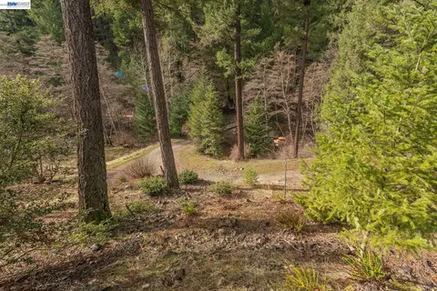 Exterior - 540 Lost Bridge Rd, Lewiston, CA 96052 photo 16 of 19