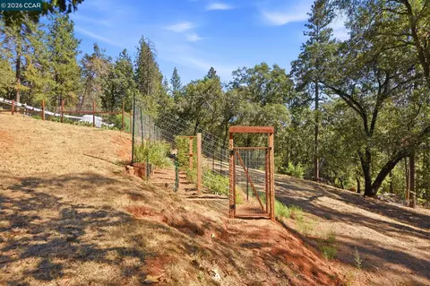 Exterior - 1450 Pleasant Ridge Rd, Colfax, CA 95713 photo 17 of 25