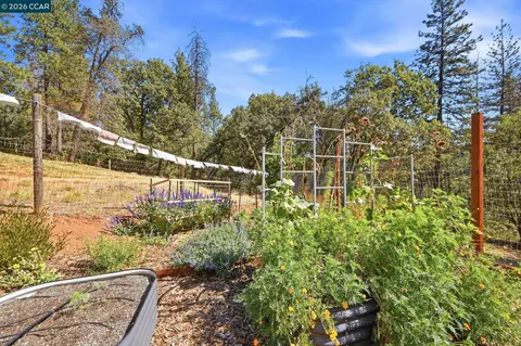 Exterior - 1450 Pleasant Ridge Rd, Colfax, CA 95713 photo 15 of 25