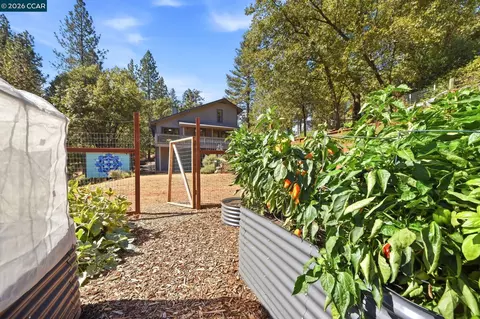 Exterior - 1450 Pleasant Ridge Rd, Colfax, CA 95713 photo 16 of 25