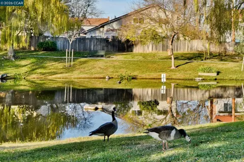 Other - 1284 Pinecrest Dr, Concord, CA 94521 photo 5 of 7