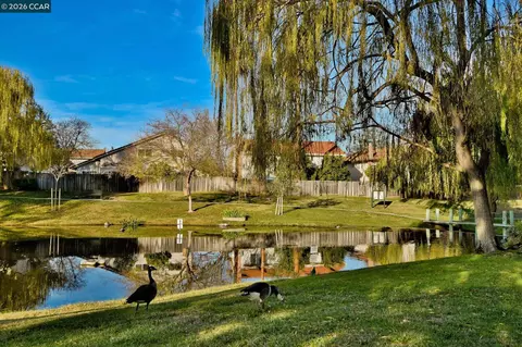 Other - 1284 Pinecrest Dr, Concord, CA 94521 photo 4 of 7