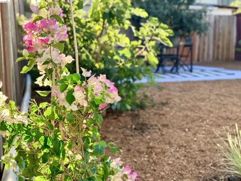 Exterior - 710 Cornell Ave, Albany, CA 94706 photo 11 of 13