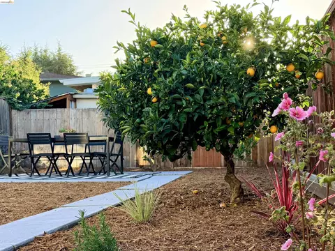 Exterior - 710 Cornell Ave, Albany, CA 94706 photo 4 of 13