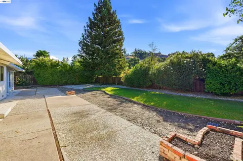 Exterior - 11 Ray Ct, Alamo, CA 94507 photo 9 of 13