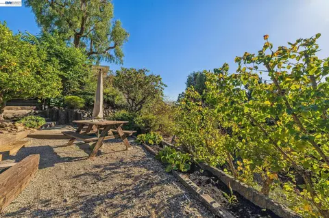Exterior - 5624 Greenridge Rd, Castro Valley, CA 94552 photo 25 of 39