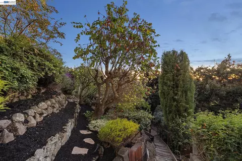 Exterior - 5624 Greenridge Rd, Castro Valley, CA 94552 photo 12 of 39