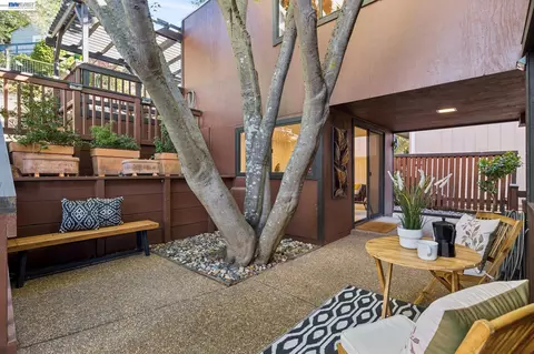 Exterior - 1085 Sterling Ave, Berkeley, CA 94708 photo 5 of 14