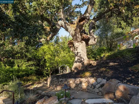 Exterior - 1 Brooktree Dr, Danville, CA 94506 photo 30 of 37