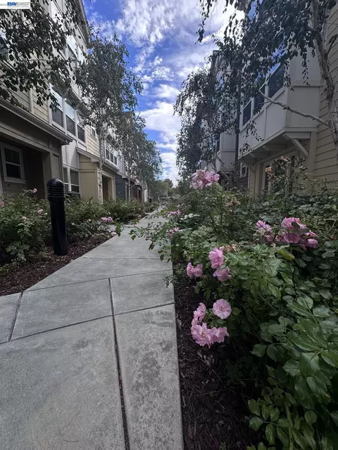 908 Arietta Dr, Mountain View, CA 94043 photo 2