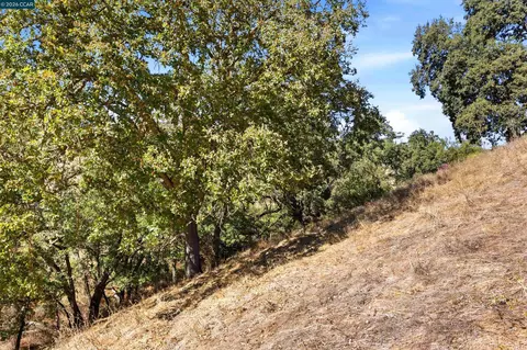 1 Ohlson Ln, Danville, CA 94526 photo 35