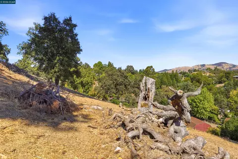 1 Ohlson Ln, Danville, CA 94526 photo 45
