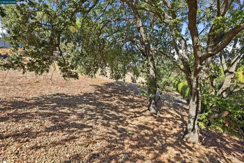 1 Ohlson Ln, Danville, CA 94526 photo 10