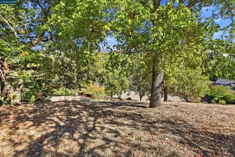 1 Ohlson Ln, Danville, CA 94526 photo 22