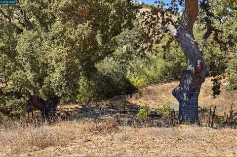 1 Ohlson Ln, Danville, CA 94526 photo 31