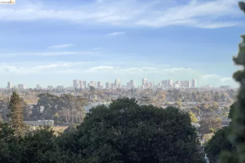 View/Area - 953 Hillside Ave, Albany, CA 94706 photo 1 of 5
