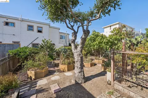 Exterior - 1824 E 24th St, Oakland, CA 94606 photo 12 of 16
