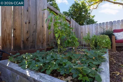 Other - 3632 Dormer Ave, Concord, CA 94519 photo 10 of 10