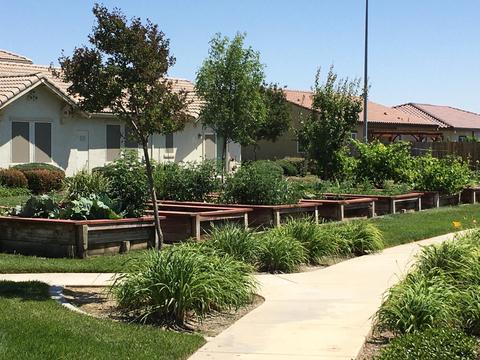 813 Grace St Los Banos Ca 15 Photos Mls Ml Movoto