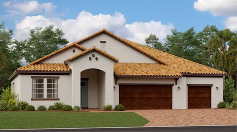 5309 Windy Grove Dr, Wimauma, FL 33598 photo 1